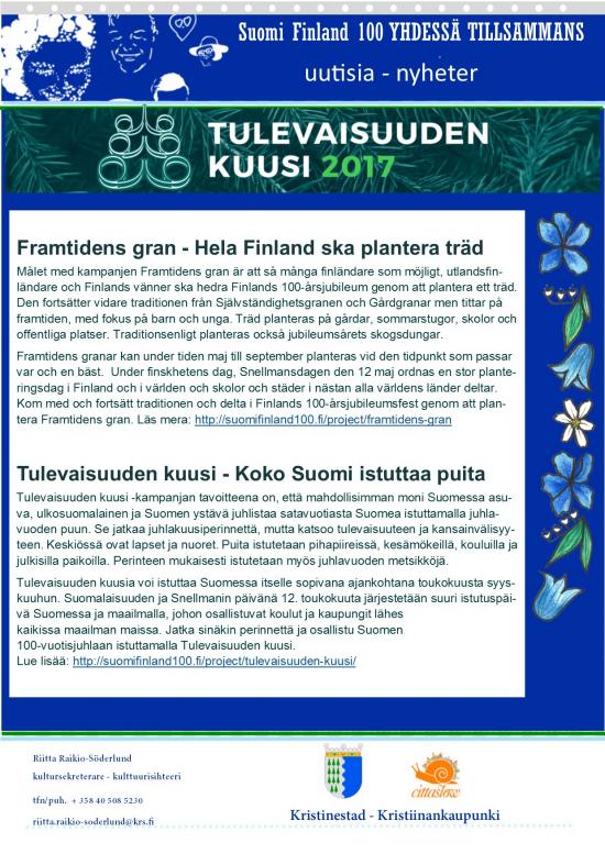 Kotikuusi