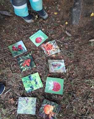 bild4