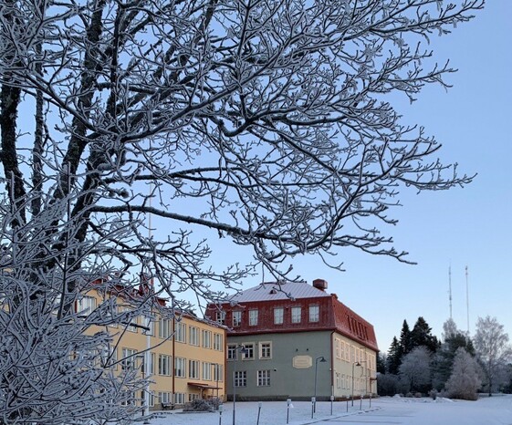 koulu kaukaa