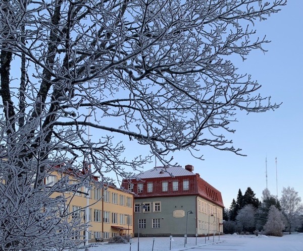koulukaukaa