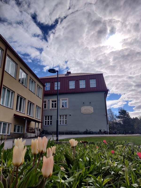koulu edestä