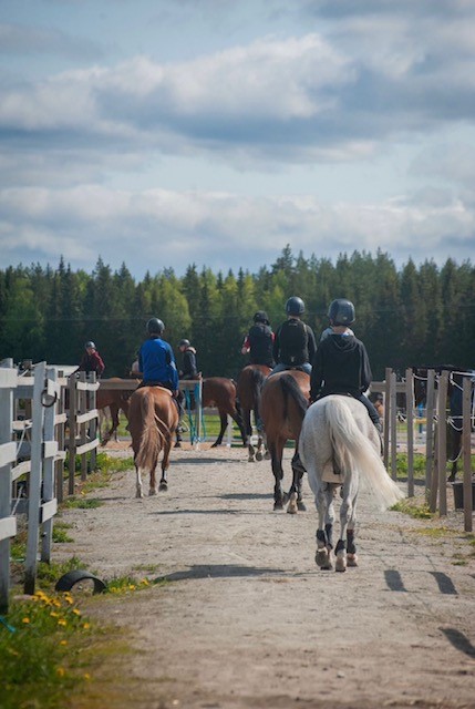 oppilaat ratsastavat