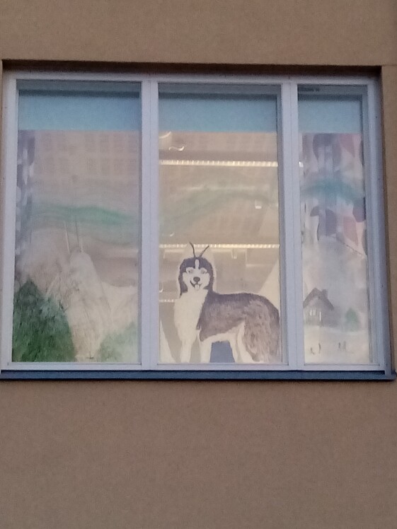 Ylakoulun ikkunasta husky