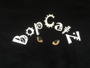 BopCatz logo