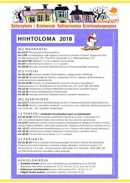 Hiihtoloma 2018 pub