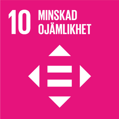 10 Minskad ojamlikhet