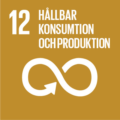 12 Hallbar konsumtion och produktion
