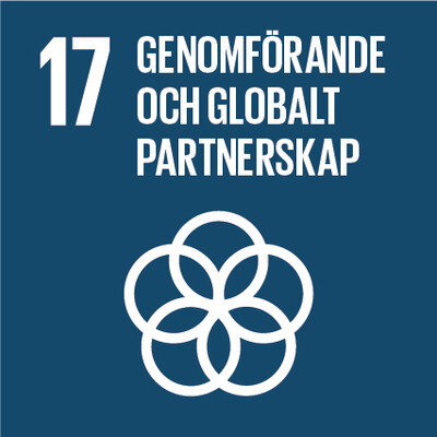 17 Genomforande och globalt partnerskap
