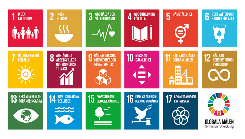 SDG SVE