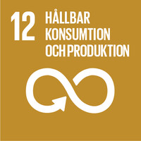 12 Hallbar konsumtion och produktion