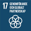 17 Genomforande och globalt partnerskap