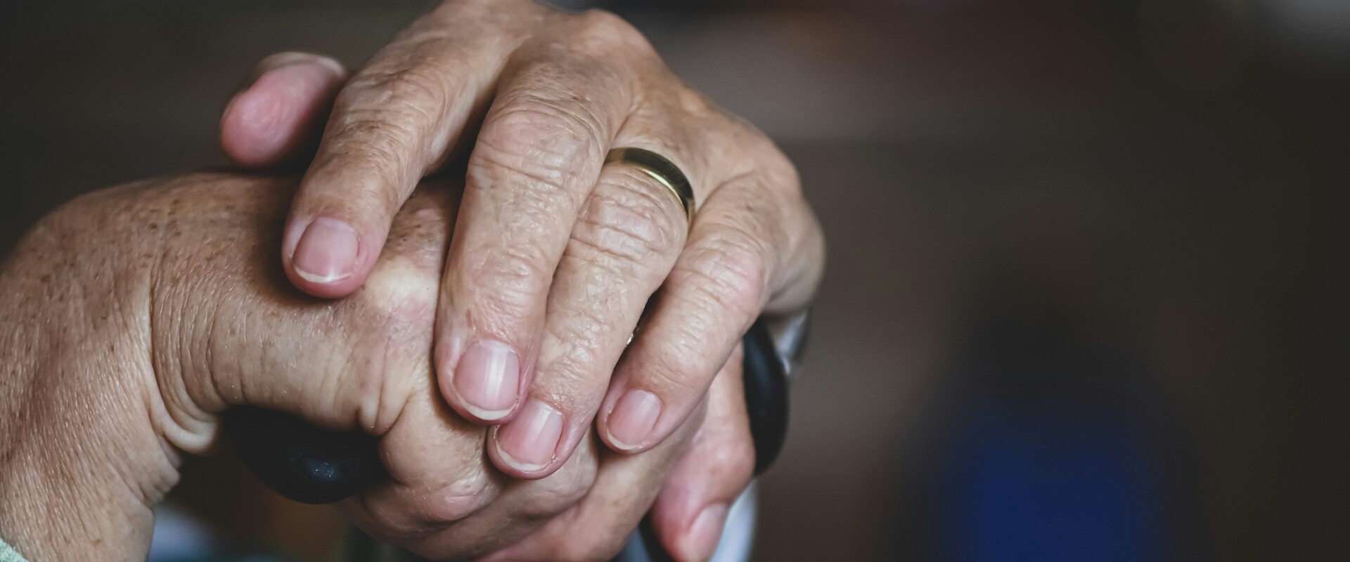 alexas fotos 6W1voPFLfrc unsplash