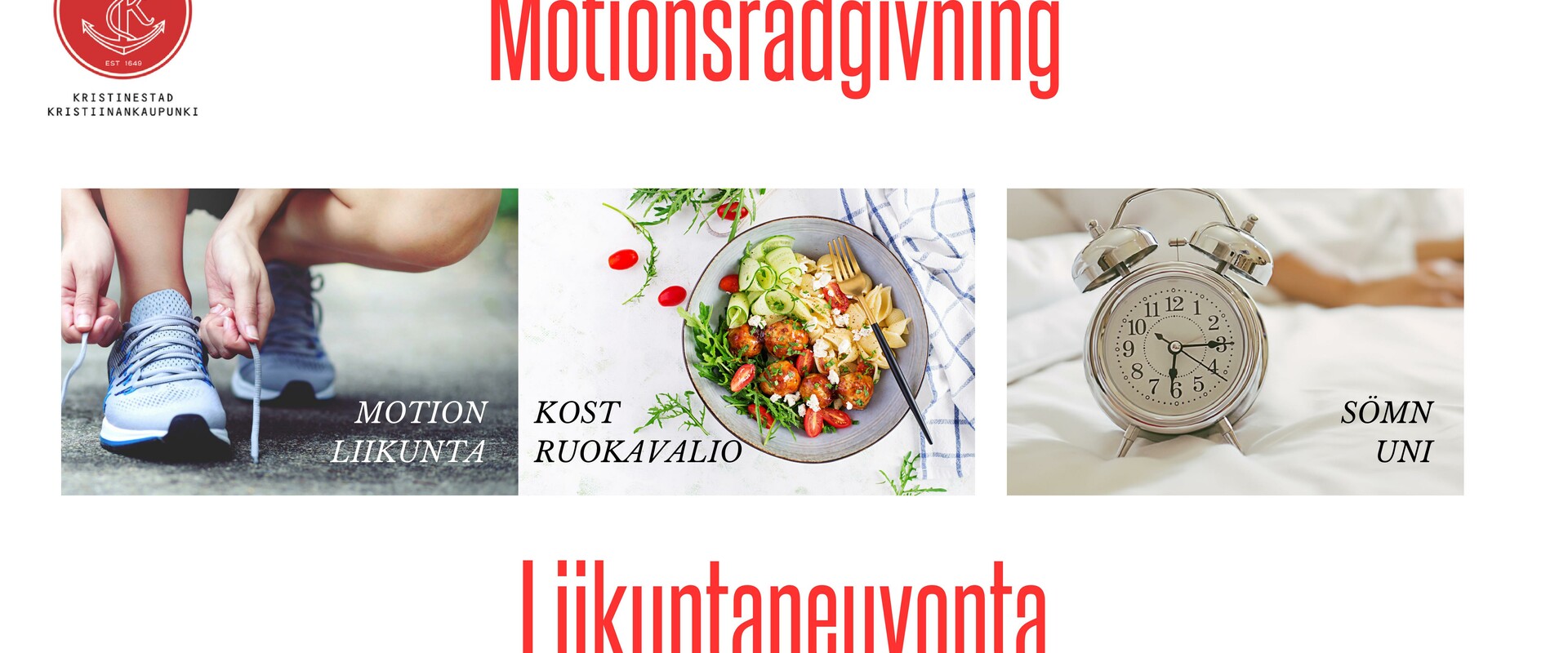 Motionsradgivning hemsida JPG