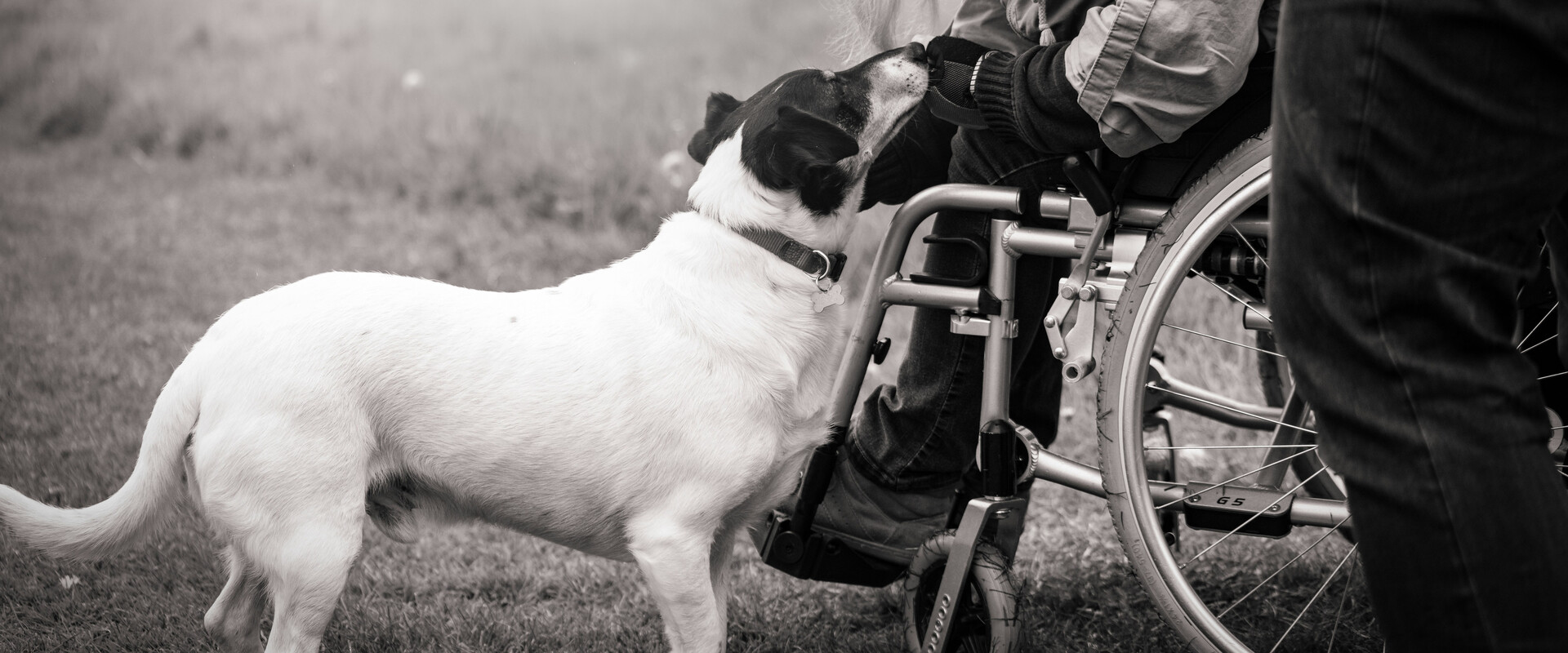 magdalena smolnicka er6 veRM8Qg unsplash guide2