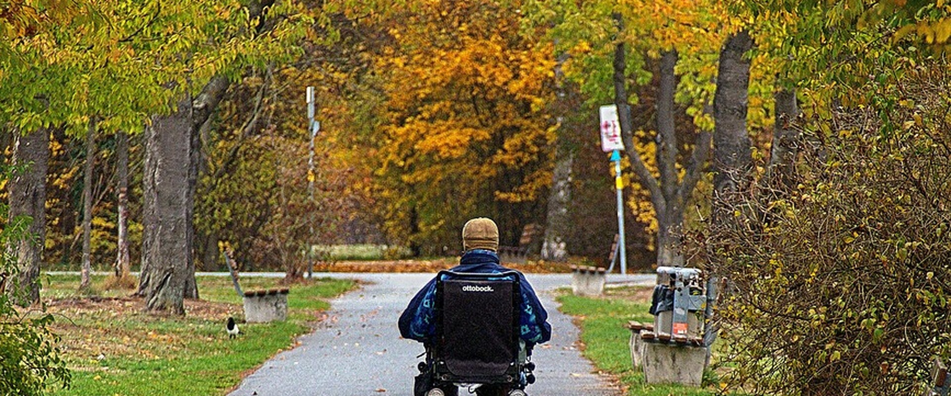 wheelchair 3796781 1280