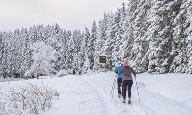 cross country skiing 5908416 1280