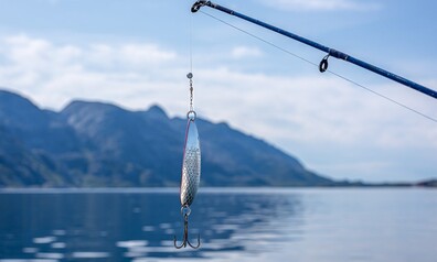 fish 7912504 1280