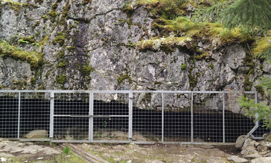 susiluola