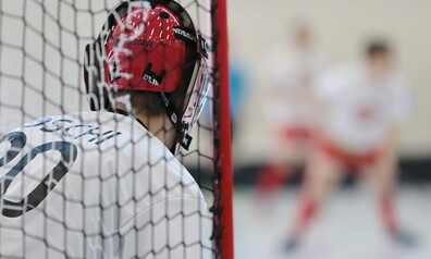 unihockey 6630104 1281