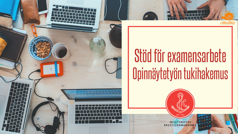 Opinnäytetyön tukihakemus