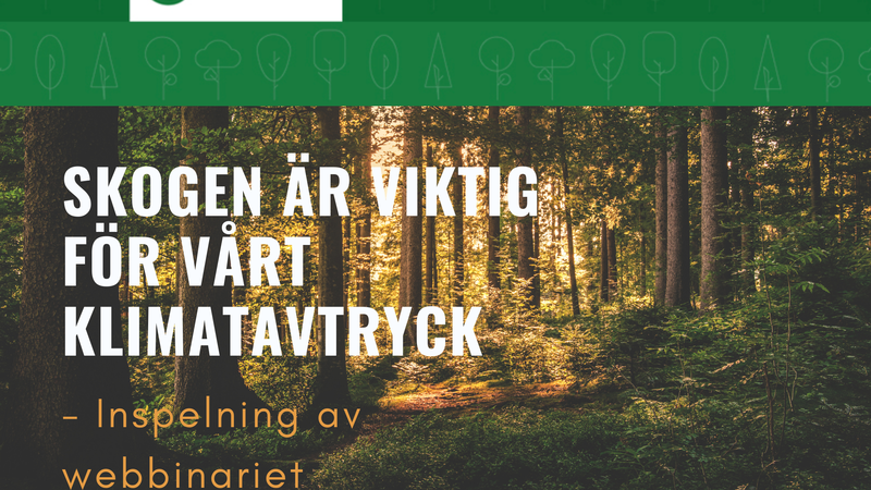 Skogen är viktig för vårt klimatavtryck