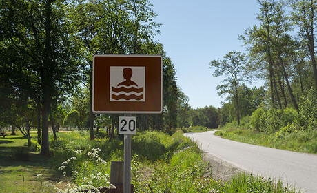 Blågröna alger vid Sandbanken och Havsbadet