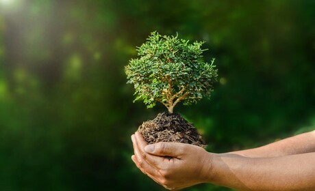 Vi fick 108 svar på vår klimatenkät, så här tyckte ni