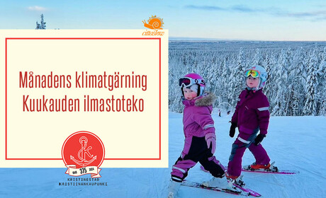 Kuukauden ilmastoteko: Tammikuu