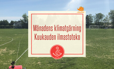 Kuukauden ilmastoteko