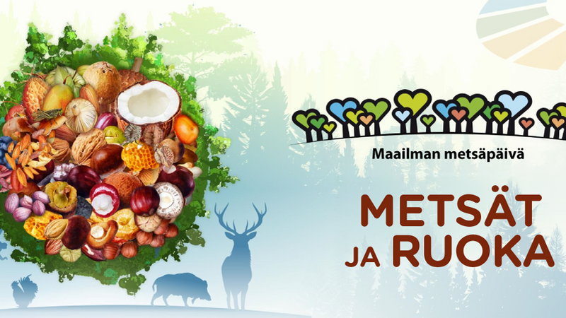 Maailman metsäpäivä 21.3