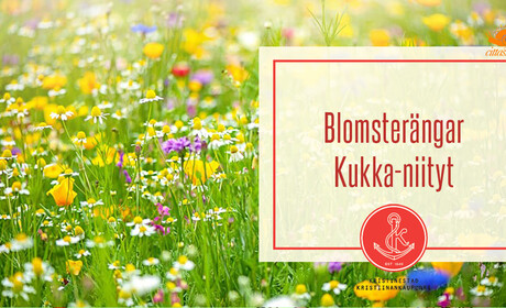 Tänä kesänä kukkivat uudet kukkaniittymme!