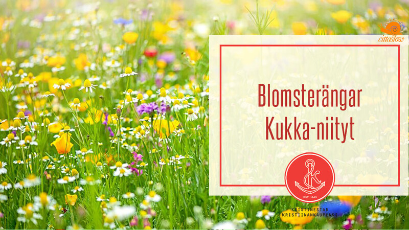 Tänä kesänä kukkivat uudet kukkaniittymme!