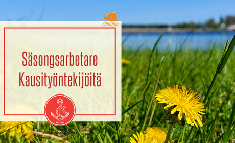 Haemme viittä kausityöntekijää kesätöihin