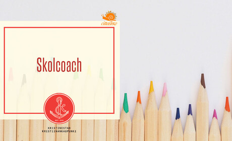 Ruotsinkielinen koulutoimi hakee koulukoutsia