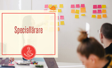 Ruotsinkielinen koulutoimi hakee kiertävää erityisopettajaa