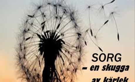 Föreläsning om sorg och sorgebearbetning 26.3 kl. 18:30-20:00 på Kulturhuset Dux