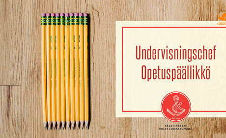 Vi söker en undervisningschef