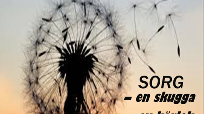 Föreläsning om sorg och sorgebearbetning 26.3 kl. 18:30-20:00 på Kulturhuset Dux