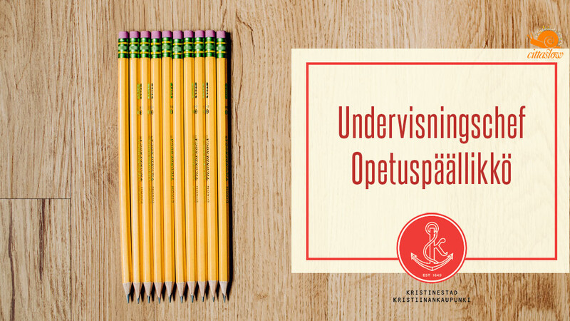 Vi söker en undervisningschef