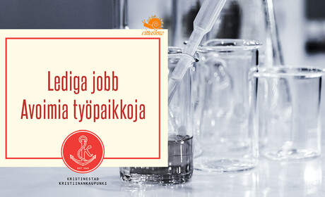 Haemme kemian, matematiikan ja fysiikan päätoimista tuntiopettajaa