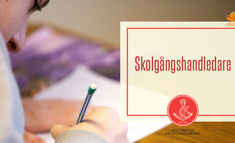 Vi söker sex skolgångshandledare