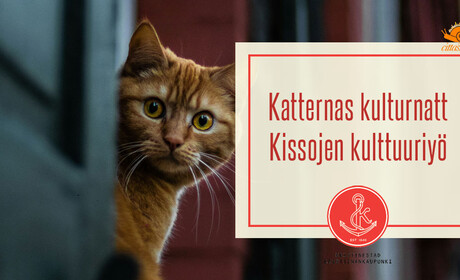 Katternas kulturnatt kommer till Kristinestad i oktober 2026 – Vad vill du uppleva?