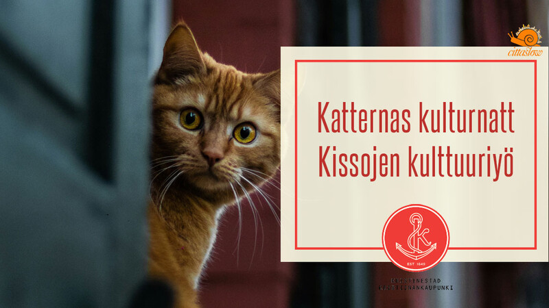 Katternas kulturnatt kommer till Kristinestad i oktober 2026 – Vad vill du uppleva?