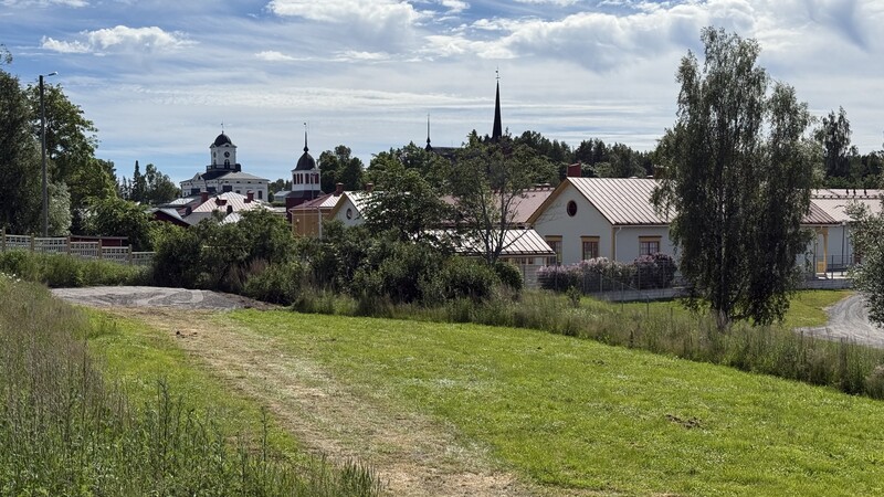 Utegruppen Tiger startar i höst – naturen blir barnens lärmiljö