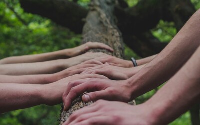 shane rounce DNkoNXQti3c unsplash